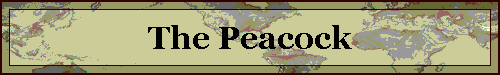The Peacock